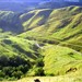 Sheep Mustering 2