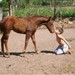 Menino e seu animal de estimação