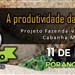 III Dia de Campo: a produtividade da ovelha brasileira