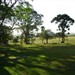 Campos de Cima da Serra - André da Rocha - RS