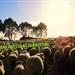 10 razões para o pecuarista investir na ovinocultura de corte